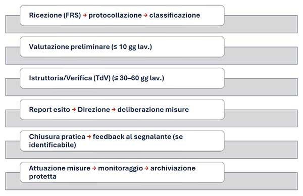 flusso operativo
